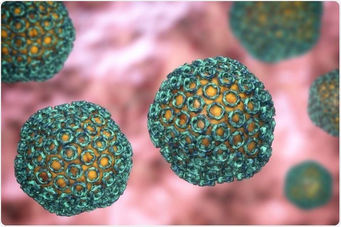 rift valley virus