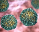 What is Rift Valley Fever?