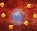 Non-coding RNAs and Oxidative Stress