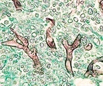 Mucormycosis Symptoms