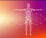What Chemical Elements are Found in the Human Body?
