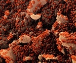 Repeated low-dose dose exposure to SARS-CoV-2 may protect against severe COVID-19