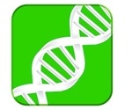 What is PicoGreen quantitation?
