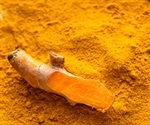 Natural products show promise against COVID-19 via iron chelation