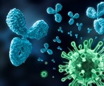 SARS-CoV-2 immunity persists for up to 11 months after natural infection