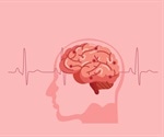 New research identifies a link between the gut microbiome and strokes