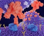The great promise of antiviral peptides against SARS-CoV-2