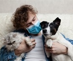 UK study finds SARS-CoV-2 antibodies in domestic cats and dogs