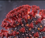 Use of nanotherapeutics in treating coronavirus diseases