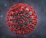 Coronaviruses identified in two species of Sri Lankan bats