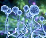 Mucormycosis and COVID-19