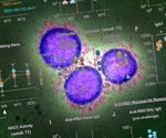 Yeast expressed, RBD-based vaccine provides robust immune responses against SARS-CoV-2