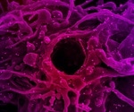 SARS-CoV-2 interacts with unusual RNA structures in human cells