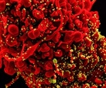 COVID-19 recovered vaccinated individuals more protected from Delta variant
