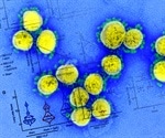 COVID-19 vaccine candidate that can be produced in yeast proves effective in macaques