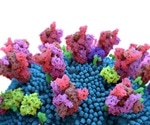 Mutations in the spike proteins of SARS-CoV-2 select for amino acid changes, increasing protein stability