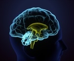 New technique provides deep tissue high-resolution images 100 to 1,000 times faster than other techniques