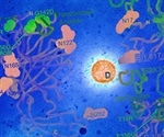How delta and kappa variants of SARS-CoV-2 evade the immune system
