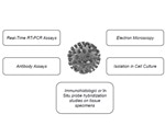 The role of nucleic acid samples for infectious disease research workflows