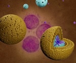 Polymeric and lipid nanoparticles in self-amplifying RNA vaccines result in higher protein expression and immunogenicity