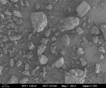 Establishing a Method for Laser Diffraction Particle Size Analysis of Lactose Powder