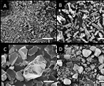 Characterising silk powders for binder jetting: working towards an innovative solution for bio-scaffold printing