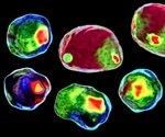 Counting Single Cells Using Flow Cytometry