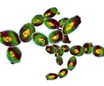 What is Hydrodynamic Focusing?