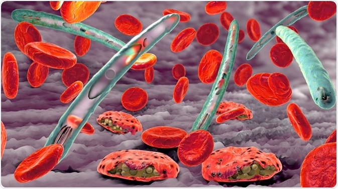 Malaria Malaria