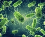 Using Microorganisms to Treat Cancer