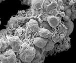 Making the nanobody big again for Cryo-EM