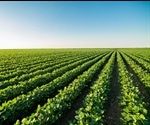 Microbiology and Food Security