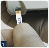 Insert test strip.