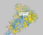 This 3D modeling reveals how SARS-CoV-2 attacks