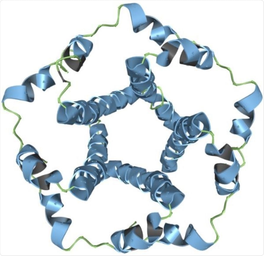 The SARS-CoV-2 envelope modeled in Aquaria. Image Credit: Garvan Institute of Medical Research