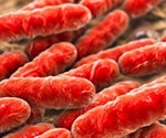 Drug accumulation alters gut bacterial metabolism and composition