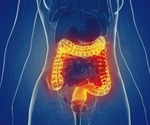 Humoral and cellular response to COVID-19 vaccines in patients with IBD