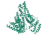 Albumedix enters into collaboration agreement with Cell and Gene Therapy Catapult