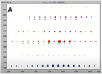 PolyTools 2.0 for efficient polymer analysis