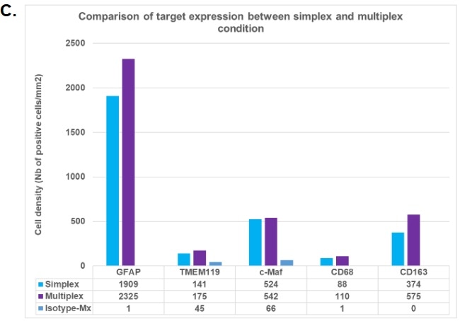 Investigating human glioblastoma tissues using a multiplex panel