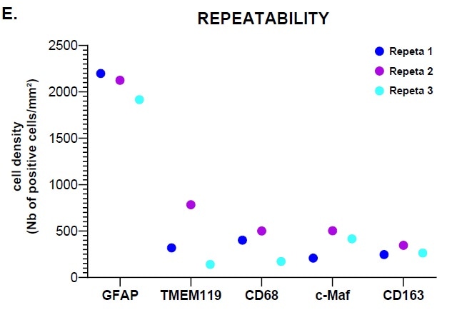 Investigating human glioblastoma tissues using a multiplex panel