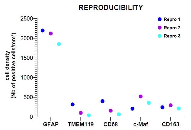 Investigating human glioblastoma tissues using a multiplex panel
