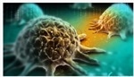 Richard R. Drake: Using MALDI imaging to study protein glycosylation patterns in cancer
