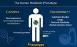 Accelerated phenotyping and biomarker structural elucidation at the National Phenome Centre
