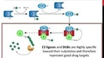 Webinar label-free high-throughput MALDI TOF mass spectrometry in drug discovery