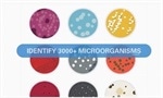 MALDI biotyper for food microbiology
