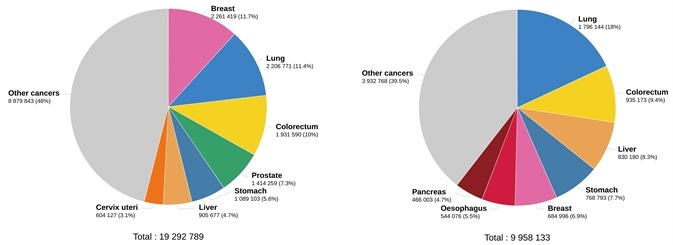 Estimated number of new cases in 2020. worldwide, both sexes, all ages (left), and estimated number of deaths in 2020. worldwide, both sexes, all ages (right). (Data source: GLOBCAN 2020, Graph production: Global Cancer Observatory (http://gco.iarc.fr/)) Estimated number of new cases in 2020. worldwide, both sexes, all ages (left), and estimated number of deaths in 2020. worldwide, both sexes, all ages (right). (Data source: GLOBCAN 2020, Graph production: Global Cancer Observatory (http://gco.iarc.fr/))
