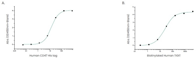 Examples of ligand–receptor pair proteins. (A) The binding assay of CD47 and SIRP_. Immobilized human SIRP hFc (Cat: 11612-H02H1) at 2 μg/ml (100 μl/well) can bind human CD47 His (Cat: 12283-H08H). (B) The binding assay of TIGIT and CD155. Immobilized human CD155/PVR His (Cat: 10109-H08H) at 2 μg/mL (100 μl/well) can bind biotinylated human TIGIT (hFc & AVI Tag) (Cat: 10917-H41H-B). Examples of ligand–receptor pair proteins. (A) The binding assay of CD47 and SIRP_. Immobilized human SIRP hFc (Cat: 11612-H02H1) at 2 μg/ml (100 μl/well) can bind human CD47 His (Cat: 12283-H08H). (B) The binding assay of TIGIT and CD155. Immobilized human CD155/PVR His (Cat: 10109-H08H) at 2 μg/mL (100 μl/well) can bind biotinylated human TIGIT (hFc & AVI Tag) (Cat: 10917-H41H-B).