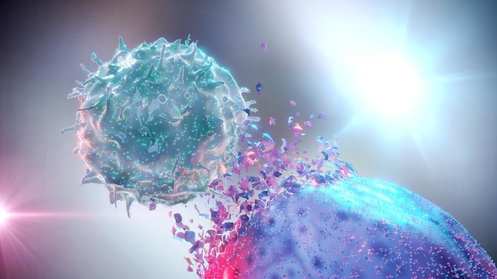 Cancer Immunology