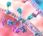 Host-directed therapeutic PD-L1 shows potential to cure leishmaniasis
